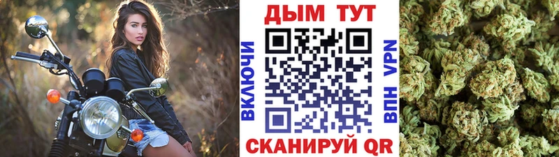 Бошки Шишки OG Kush  Купить закладки  Соликамск 